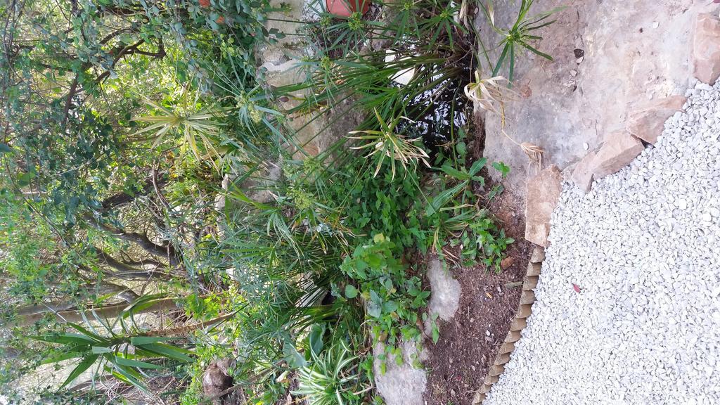 Willa Quinta De Sao Filipe Setúbal Zewnętrze zdjęcie
